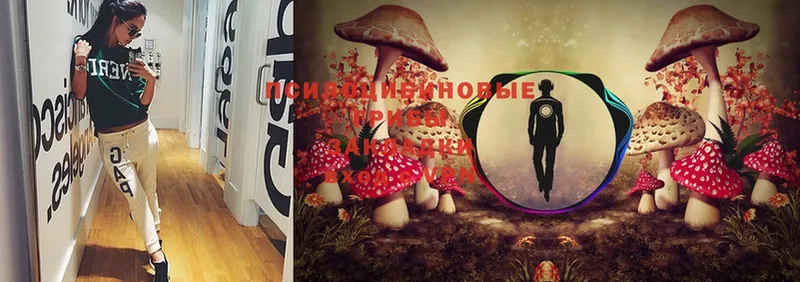 магазин продажи наркотиков  Макаров  Галлюциногенные грибы Magic Shrooms 